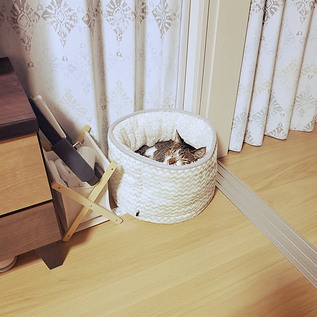 yu-riさんの実例写真