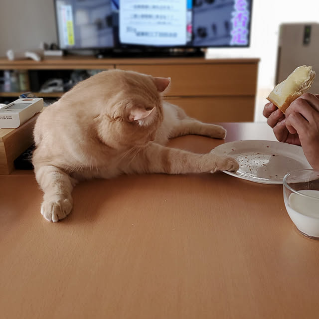 makoさんの実例写真