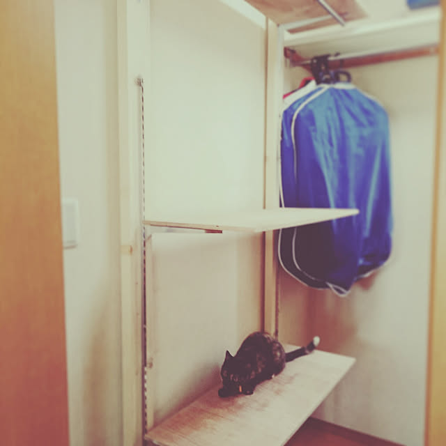 180447hiroさんの実例写真