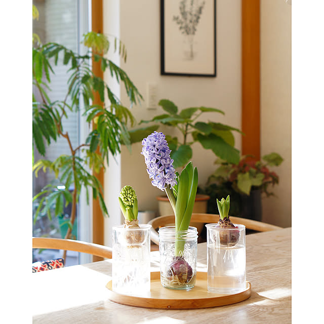 noriflowerさんの実例写真