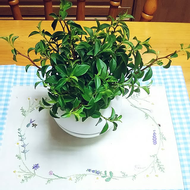 naopyiさんの実例写真