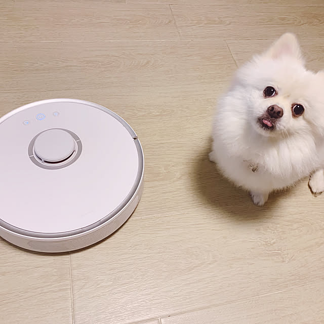 リビング/Robot vacuum cleanerのインテリア実例 - 2018-12-15 00:11:13