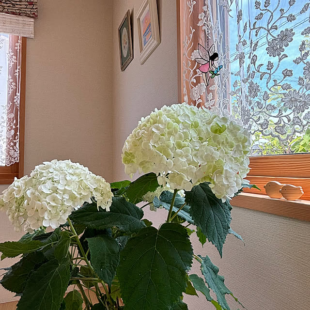 lalalaさんの部屋