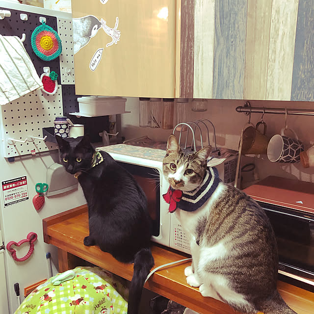 jijiさんの実例写真