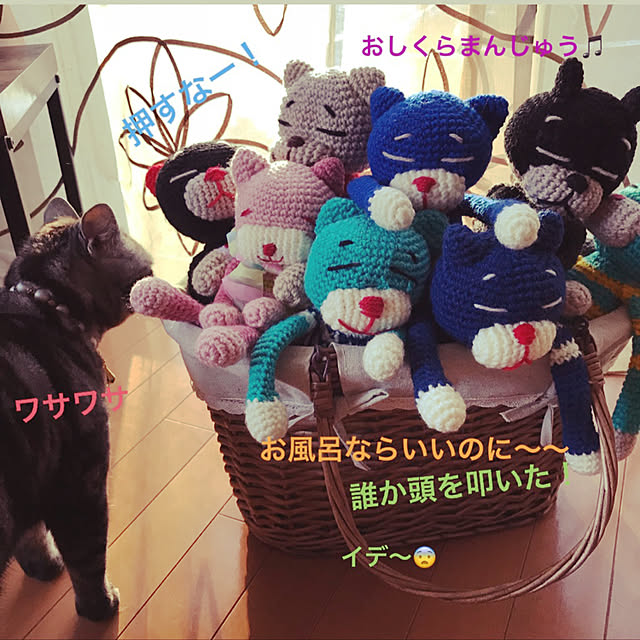 Yokoさんの実例写真