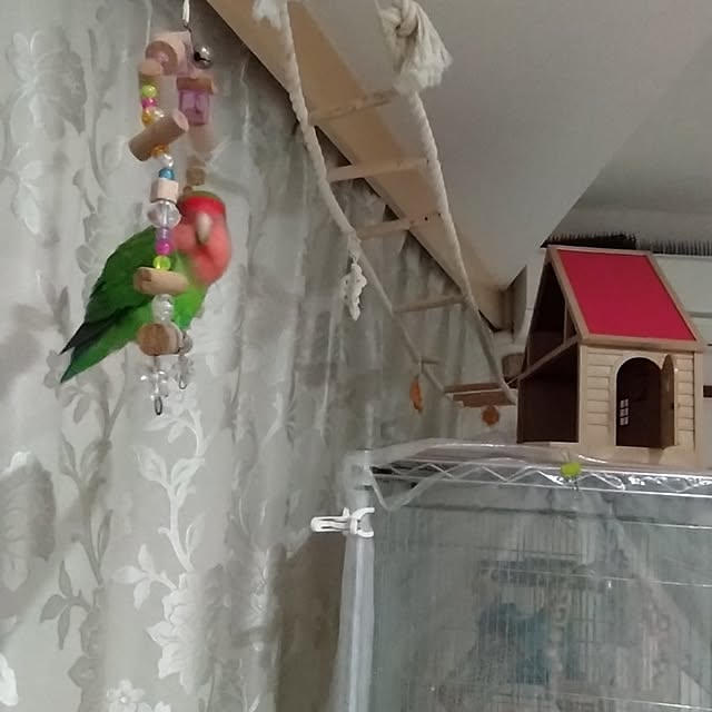 toratanさんの実例写真