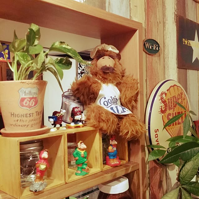 ALFさんの実例写真