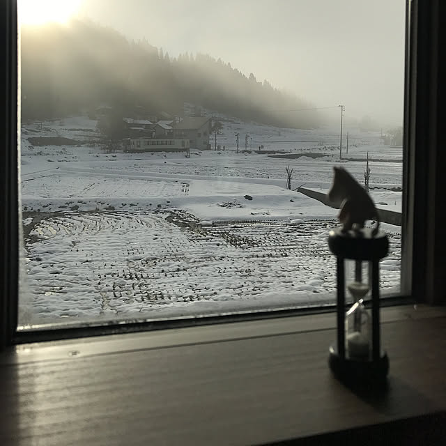 Miriさんの実例写真