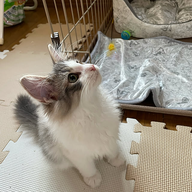 kazzuueeさんの実例写真