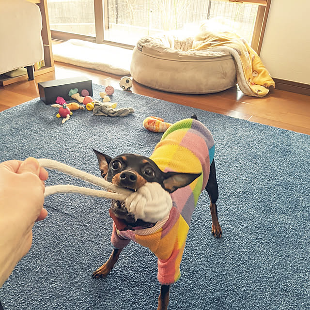 shizuponさんの実例写真
