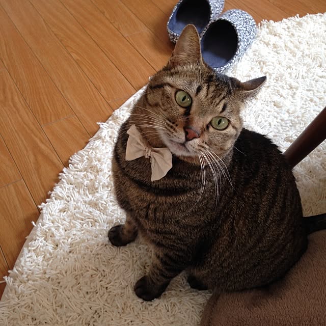 baaaaan331さんの実例写真