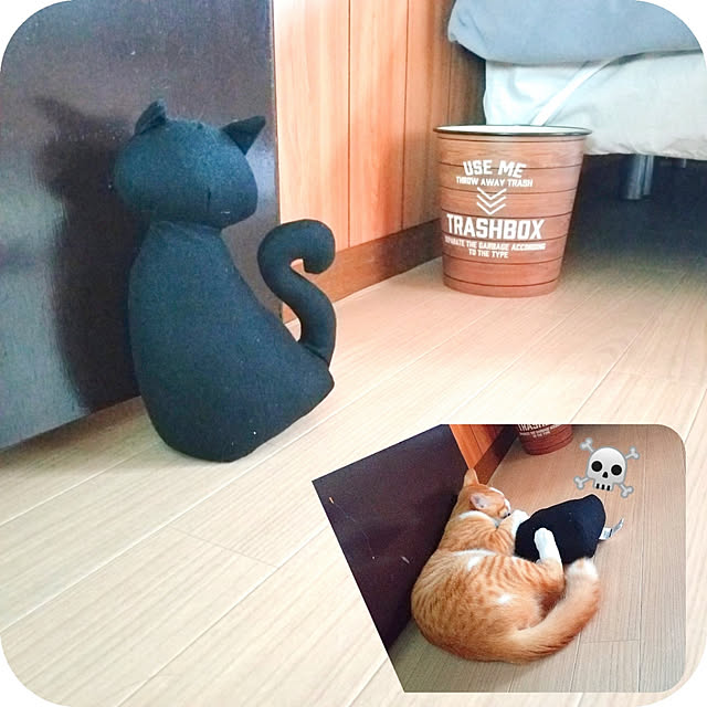 HANIWaさんの実例写真