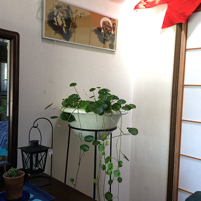 観葉植物/リビングのインテリア実例 - 2021-04-27 09:01:33