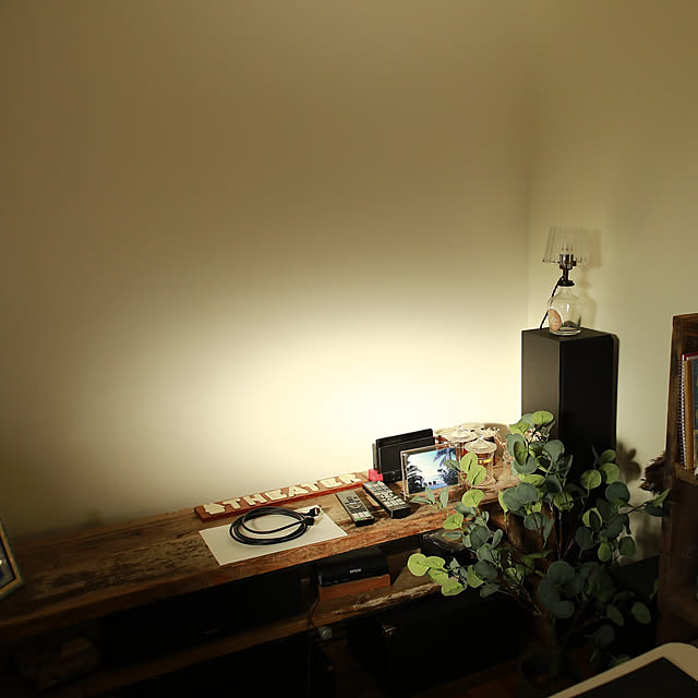 部屋全体/無垢の床/古材/高窓からの木漏れ日のインテリア実例 - 2023-02-06 22:07:45
