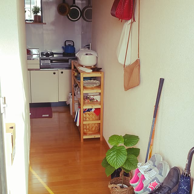 実例写真