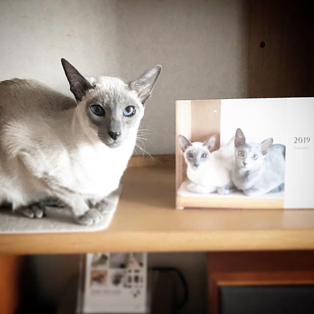 mujinekoさんの実例写真