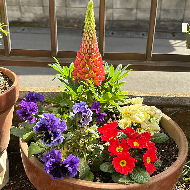 Smilkazuさんの部屋