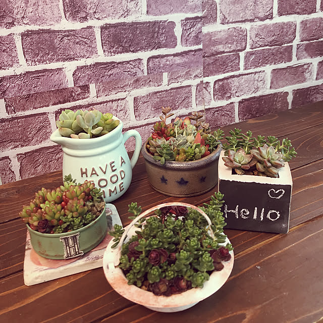 ss11aiueokさんの実例写真