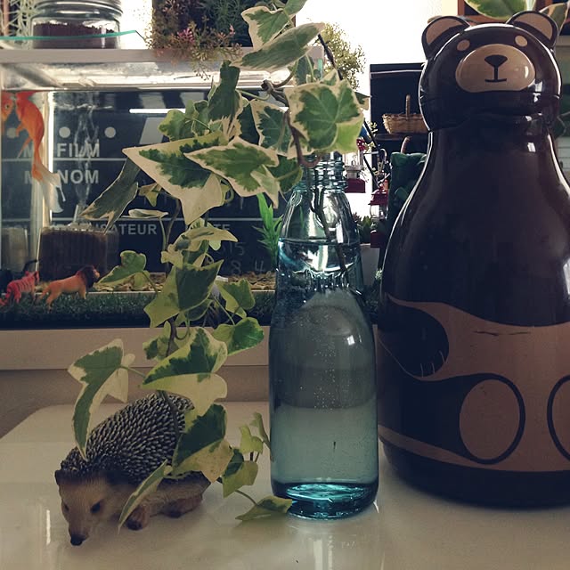 onokenkoさんの実例写真