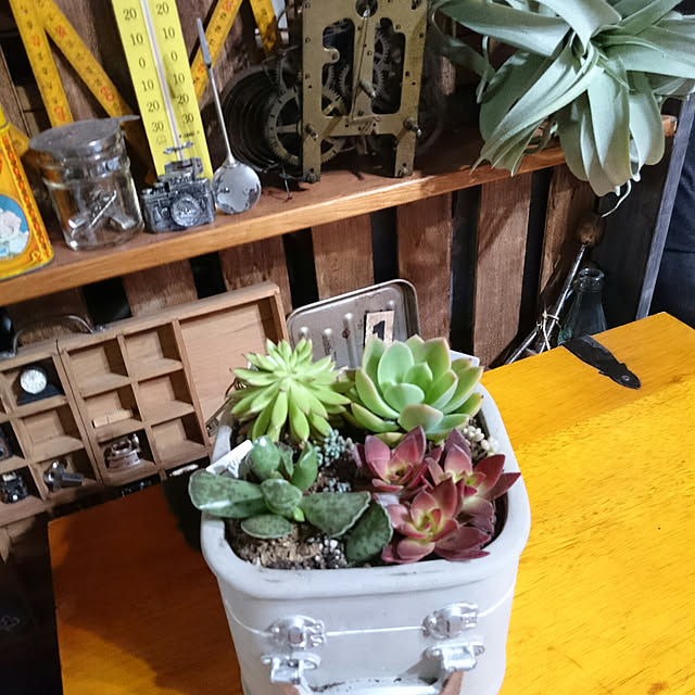 tikuwaさんの実例写真