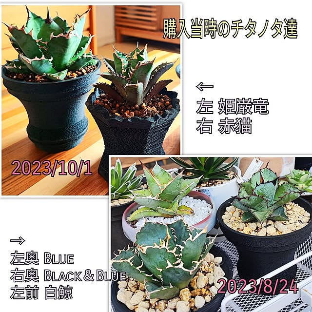 eさんの部屋