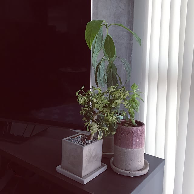 nikuoさんの実例写真