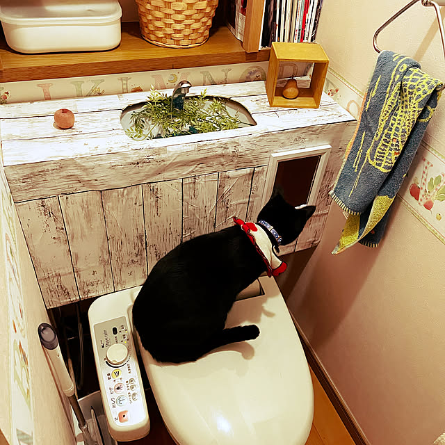 jijiさんの実例写真