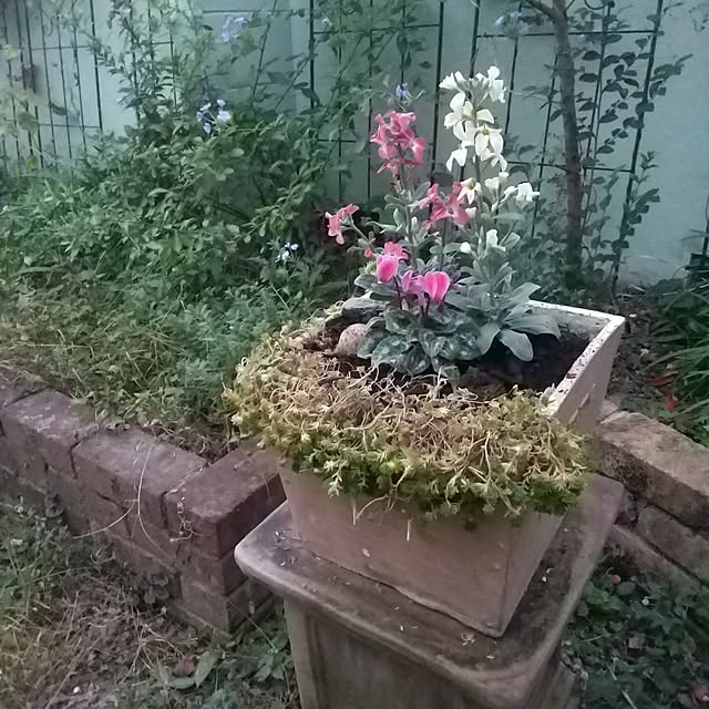 Rさんの実例写真
