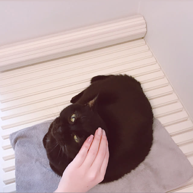 yCaさんの実例写真