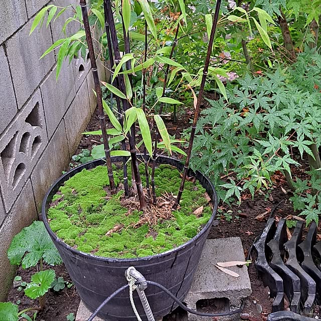 kazuraさんの部屋