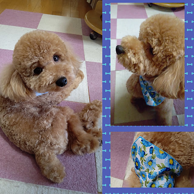 yumirinさんの実例写真