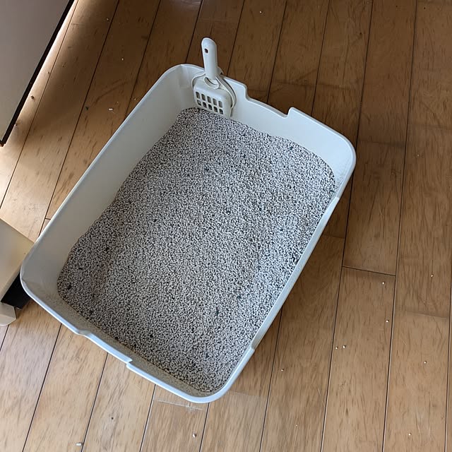 asaさんの部屋