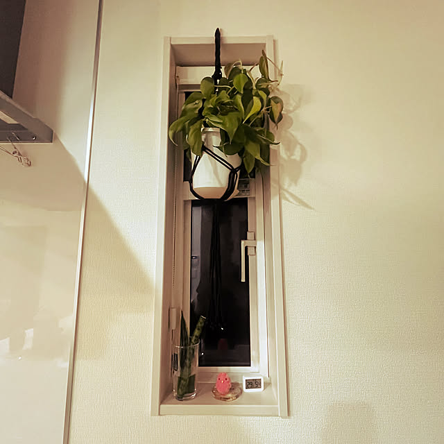 SHIOmamaさんの実例写真