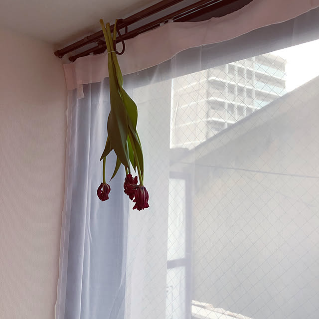 h_r_nさんの実例写真