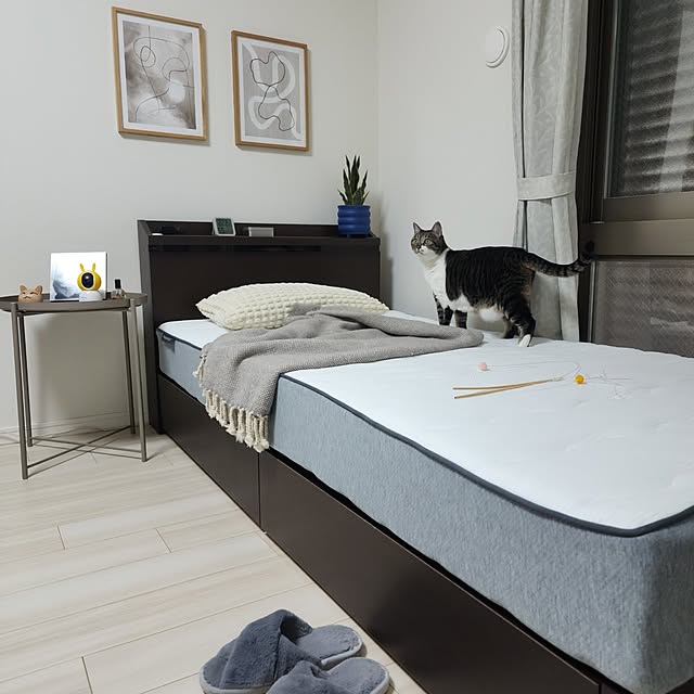 tomatoさんの部屋