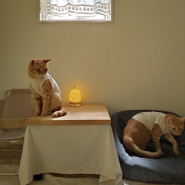 mayutan.さんの部屋