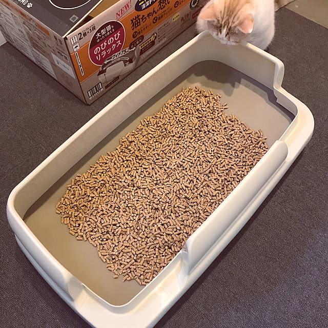 makimakiさんの部屋