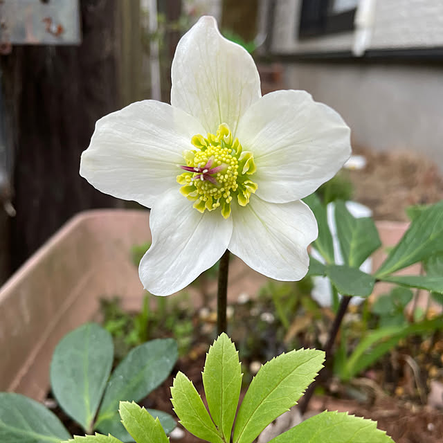natsumiさんの部屋