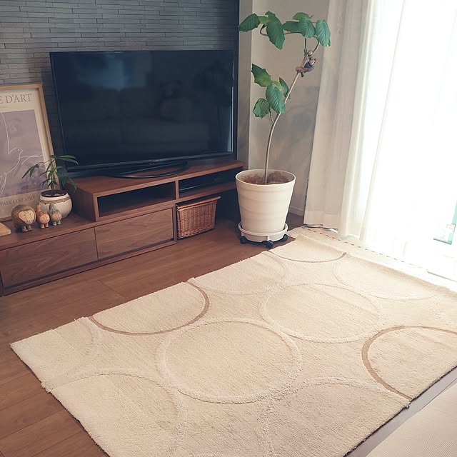 tan5さんの実例写真