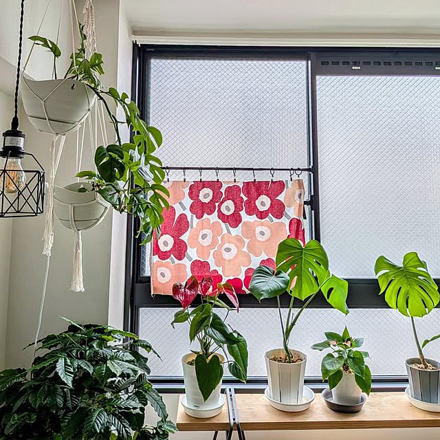 kolo92さんの実例写真