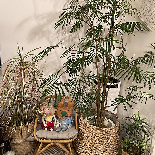 s.p.sunaoさんの実例写真