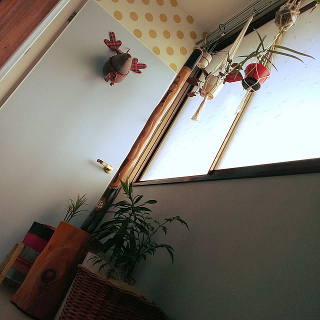 shion825さんの実例写真