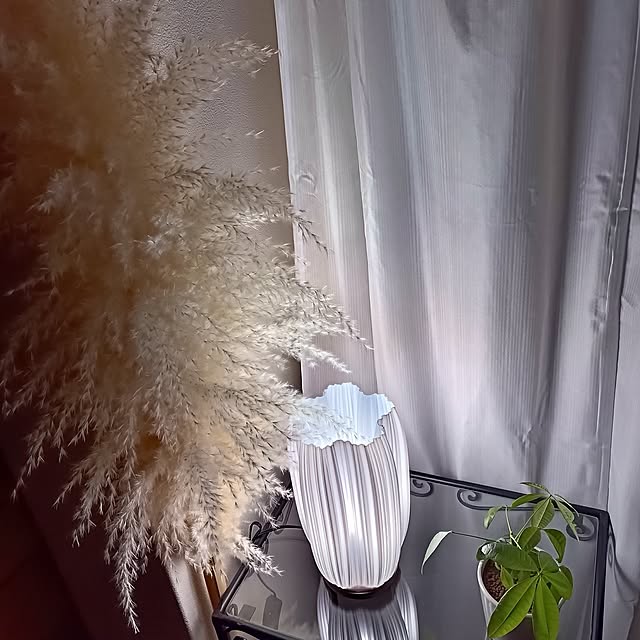 hisaさんの実例写真