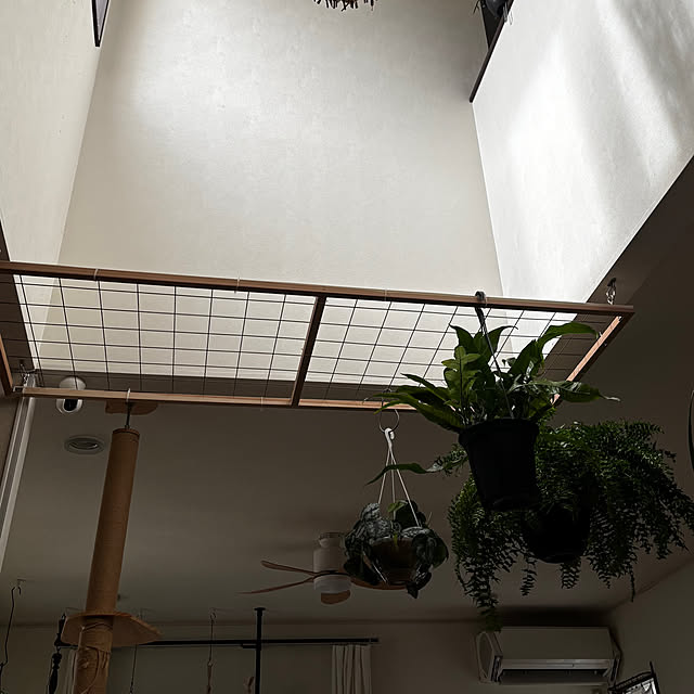 greycatsさんの部屋