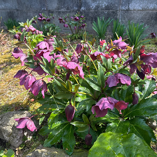 banbinaさんの部屋