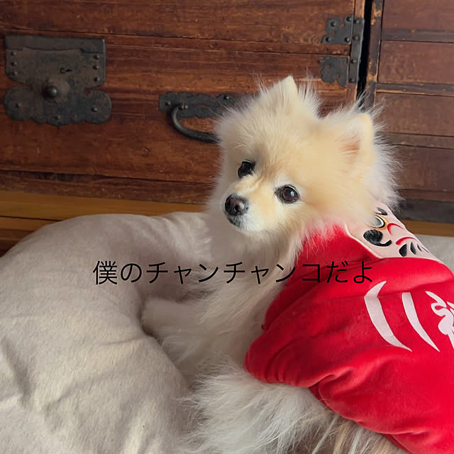 akaidarumaさんの部屋