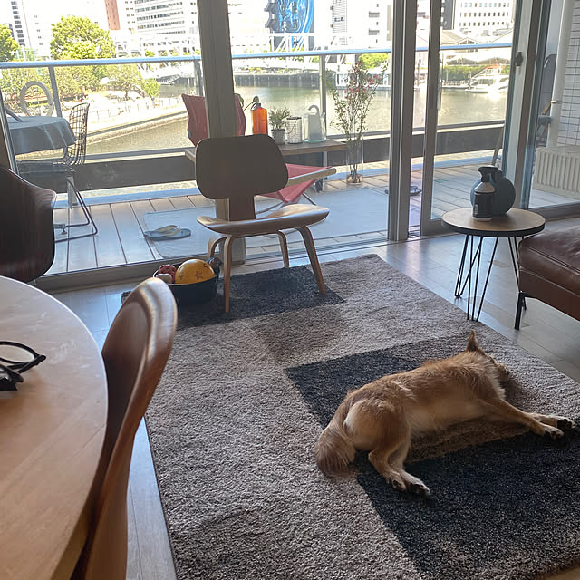 Yoheiさんの部屋