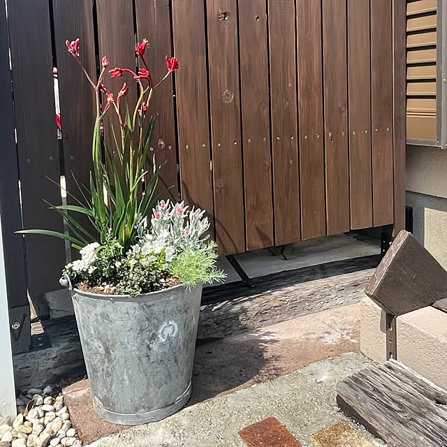 WAKKOさんの実例写真