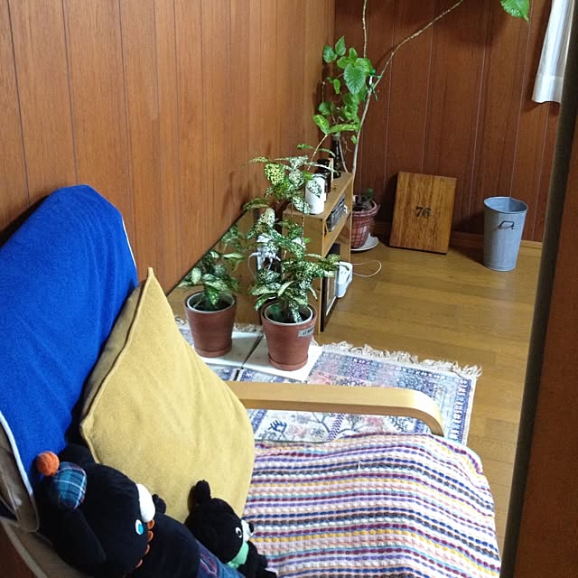 botanさんの実例写真