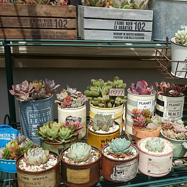 cocomilkさんの実例写真